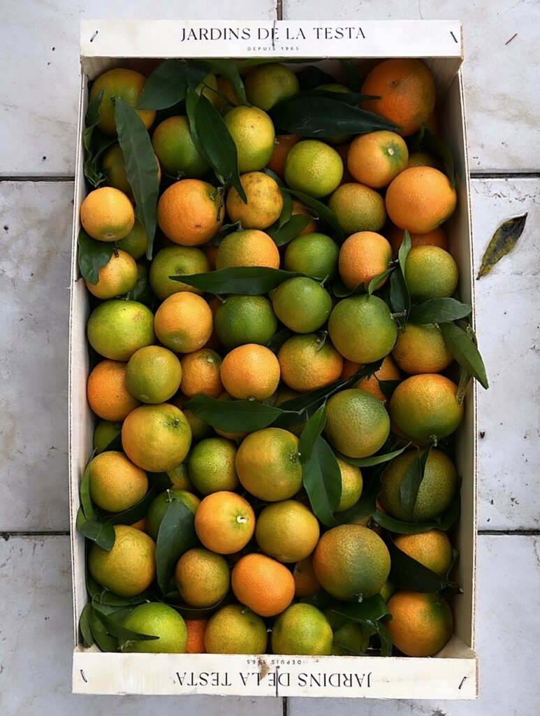 Une caisse de 10 kg de clémentines des Jardins de la Testa