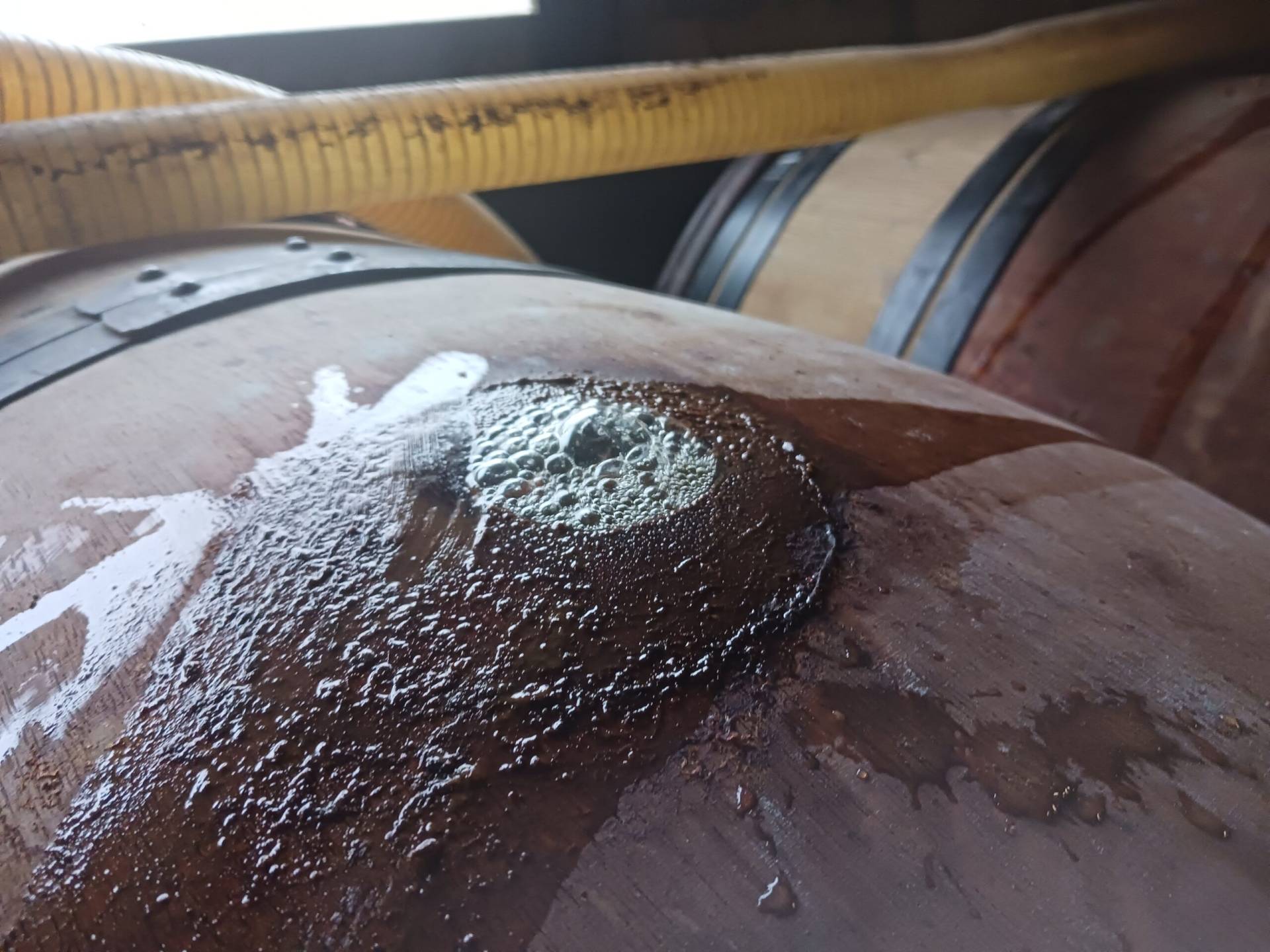 La fermentation progresse dans le tonneau